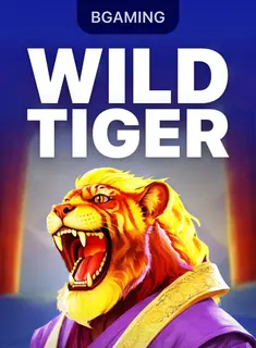 Wild Tiger, slot da BGaming na 1win