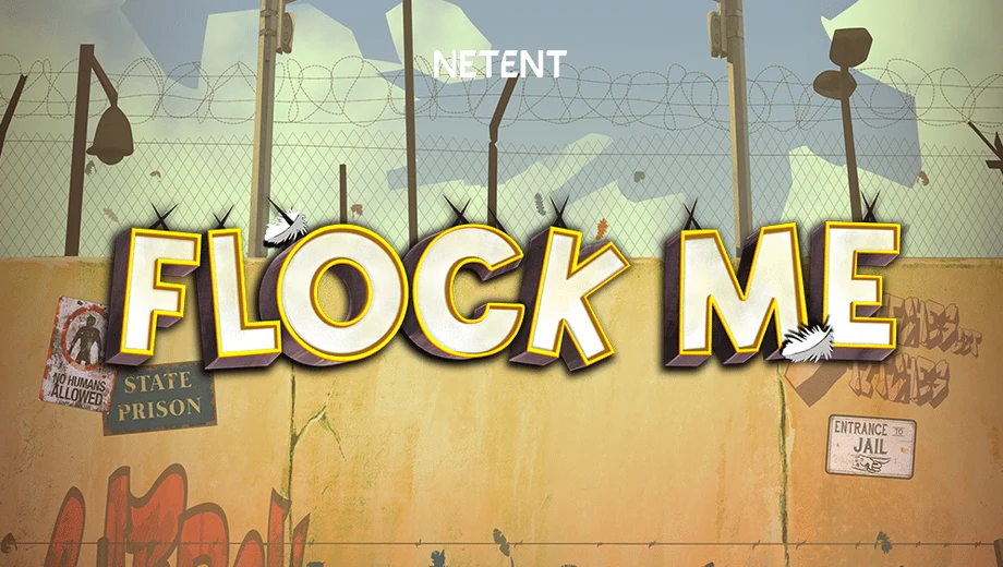 Banner de Flock Me